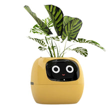 Load image into Gallery viewer, TuvaGrow™ - Smart Planter