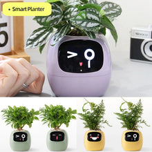 Load image into Gallery viewer, TuvaGrow™ - Smart Planter
