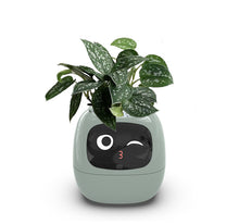 Load image into Gallery viewer, TuvaGrow™ - Smart Planter