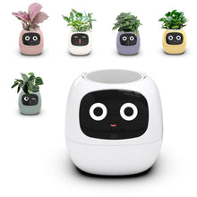 Load image into Gallery viewer, TuvaGrow™ - Smart Planter
